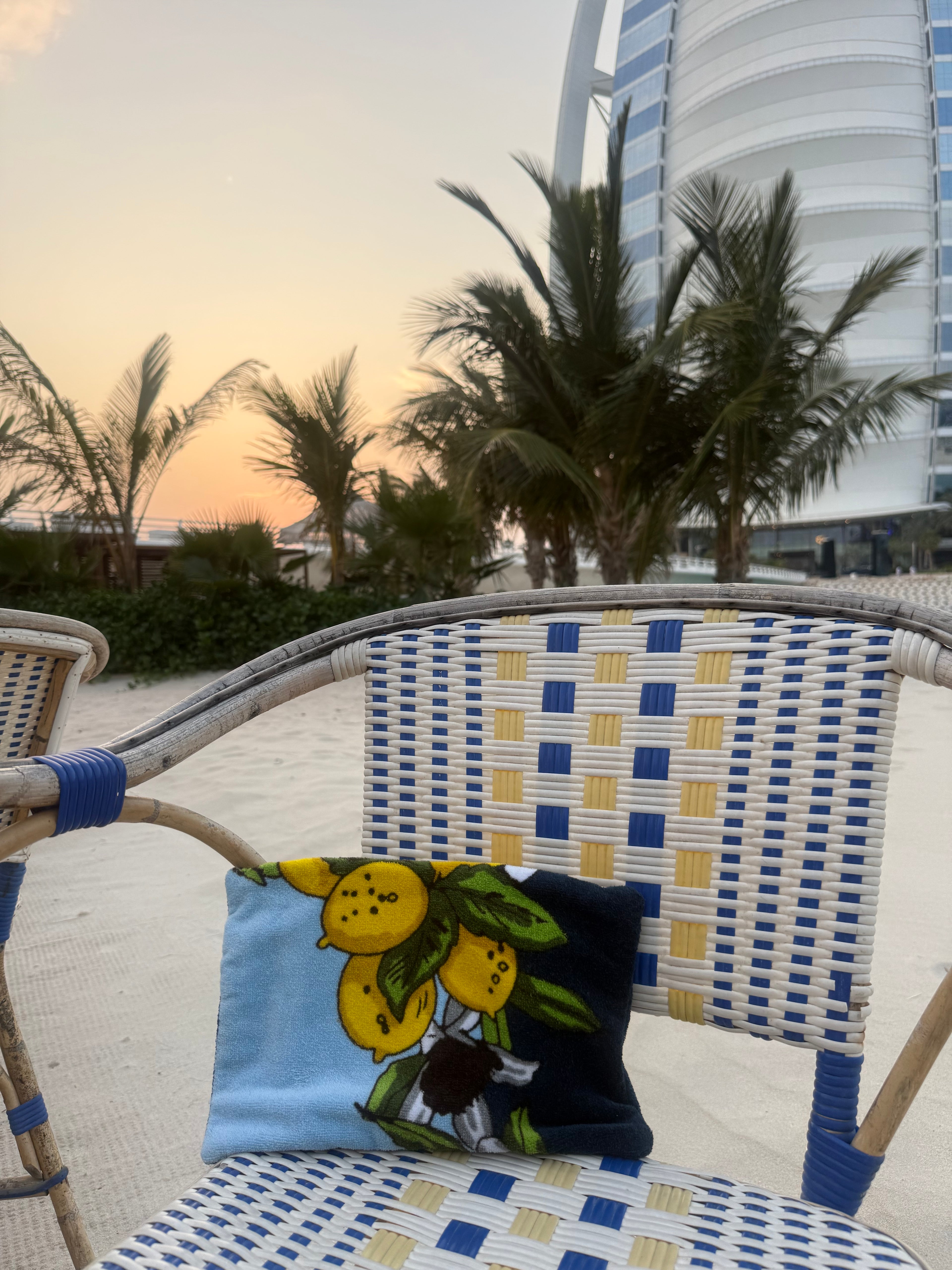 'Dolce & Gabbana Citrus Lemon' Pouch