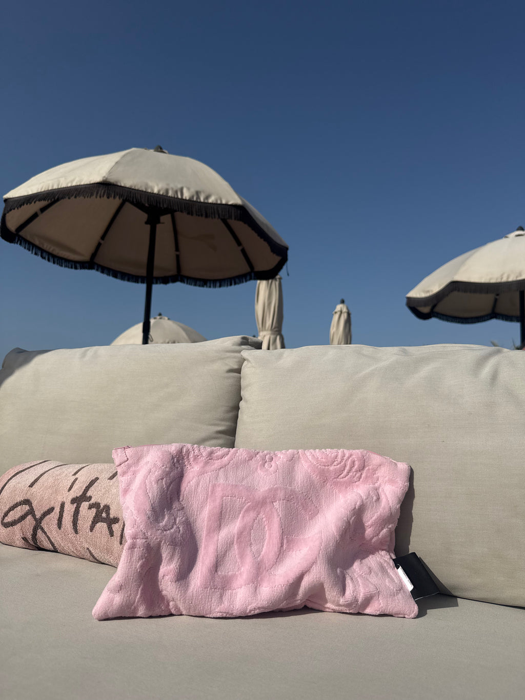 'Pink Dolce & Gabbana' Large Pouch